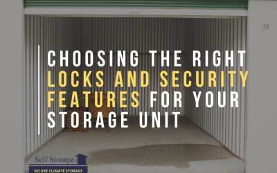Choosing the Right Locks and Security Features for Your Storage Unit